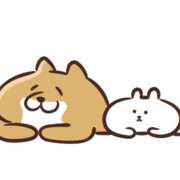 ヒメ日記 2026/01/28 10:10 投稿 柚音 渋谷人妻城