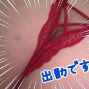 ヒメ日記 2026/01/30 09:30 投稿 柚音 渋谷人妻城