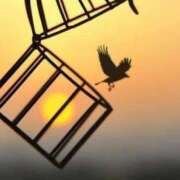 ヒメ日記 2026/01/07 06:49 投稿 服部 人妻風俗チャンネル