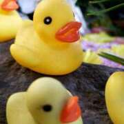 ヒメ日記 2026/01/17 10:54 投稿 服部 人妻風俗チャンネル