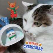 ヒメ日記 2025/12/24 08:01 投稿 ほのか★ 阿AUN呍(あうん)