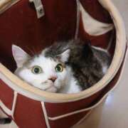 ヒメ日記 2026/01/10 16:13 投稿 ほのか★ 阿AUN呍(あうん)