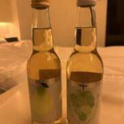 ヒメ日記 2026/01/21 02:48 投稿 みのり 錦糸町人妻セレブリティ（ユメオト）