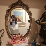 ヒメ日記 2026/01/29 10:08 投稿 あみか 完熟ばなな川崎