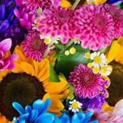 ヒメ日記 2026/02/11 21:48 投稿 あみか 完熟ばなな川崎