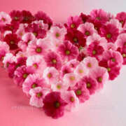 ヒメ日記 2026/04/11 21:25 投稿 あみか 完熟ばなな川崎