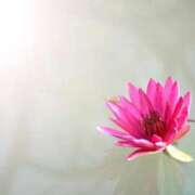 ヒメ日記 2026/02/02 01:00 投稿 とわ 木更津人妻花壇