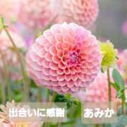 ヒメ日記 2026/01/31 23:05 投稿 あみか 完熟ばなな 横浜