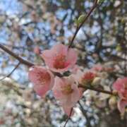 ヒメ日記 2026/03/16 09:41 投稿 あみか 完熟ばなな 横浜