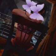 ヒメ日記 2026/04/18 21:00 投稿 ＨＩＢＩＫＩ club BLENDA 天王寺・谷9天高ビル店