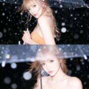 ヒメ日記 2025/12/23 07:18 投稿 武藤アゲハ クラブブレンダ東京池袋店