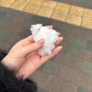 ヒメ日記 2026/02/08 16:48 投稿 白雪ひめ クラブブレンダ東京池袋店