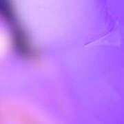 ヒメ日記 2026/02/10 22:00 投稿 白雪ひめ クラブブレンダ東京池袋店