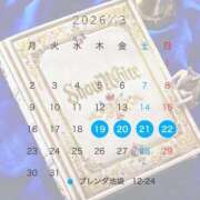 ヒメ日記 2026/03/21 15:08 投稿 白雪ひめ クラブブレンダ東京池袋店