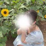 ヒメ日記 2025/12/29 16:24 投稿 真音-Manon- 姉新地