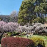 ヒメ日記 2026/03/04 09:00 投稿 ななこ One More奥様　町田相模原店