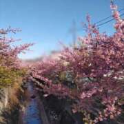 ヒメ日記 2026/03/09 09:24 投稿 ななこ One More奥様　町田相模原店