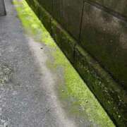 ヒメ日記 2026/06/30 14:19 投稿 みらの もんぜつちじょ本店