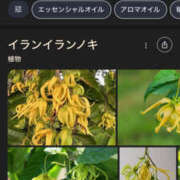 ヒメ日記 2026/07/05 03:19 投稿 みらの もんぜつちじょ本店
