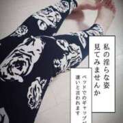 ヒメ日記 2025/12/27 07:59 投稿 みなみ 丸妻 厚木店