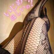 ヒメ日記 2026/02/15 20:09 投稿 みなみ 丸妻 厚木店