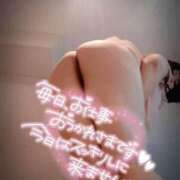 ヒメ日記 2026/03/03 11:45 投稿 みなみ 丸妻 厚木店