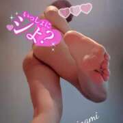 ヒメ日記 2026/04/08 06:11 投稿 みなみ 丸妻 厚木店