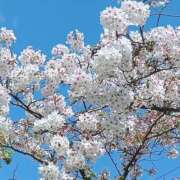 波乃なな こんばんは☺️ ミセス大阪十三店