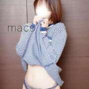 ヒメ日記 2026/04/29 14:31 投稿 まこ luxury spa 風雅