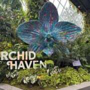 ナオ ナオです🤗💕 アネックスジャパン