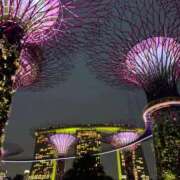 ヒメ日記 2026/01/21 19:29 投稿 ナオ アネックスジャパン