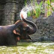 ヒメ日記 2026/01/30 22:29 投稿 ナオ アネックスジャパン