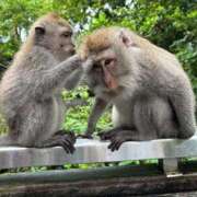 ヒメ日記 2026/01/31 18:29 投稿 ナオ アネックスジャパン