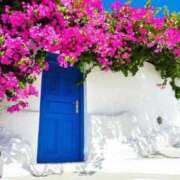 ヒメ日記 2026/02/07 18:39 投稿 ナオ アネックスジャパン