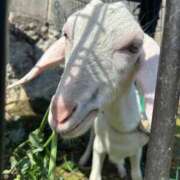 ナオ ナオです🤗💕 アネックスジャパン