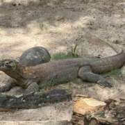 ナオ ナオです🤗💕 アネックスジャパン