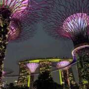 ヒメ日記 2026/03/07 18:03 投稿 ナオ アネックスジャパン