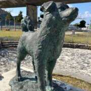 ヒメ日記 2026/03/13 18:59 投稿 ナオ アネックスジャパン