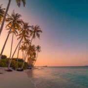 ヒメ日記 2026/03/19 17:49 投稿 ナオ アネックスジャパン