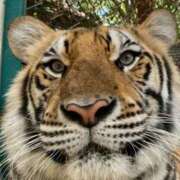 ヒメ日記 2026/03/25 08:19 投稿 ナオ アネックスジャパン