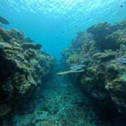 ナオ ナオです🤗💕 アネックスジャパン