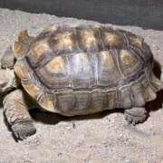 ナオ ナオです🤗💕 アネックスジャパン