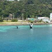 ナオ ナオです🤗💕 アネックスジャパン