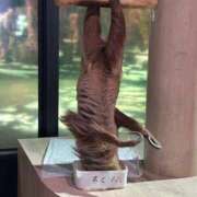 ナオ ナオです🤗💕 アネックスジャパン