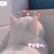 ヒメ日記 2026/03/12 01:54 投稿 るる たっぷりHoneyoilSPA福岡中洲店