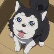 ヒメ日記 2026/01/21 12:05 投稿 あいら JAPAN CLUB BUNNY LOUNGE