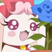 ヒメ日記 2026/01/28 20:39 投稿 あいら JAPAN CLUB BUNNY LOUNGE