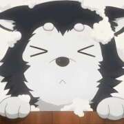 ヒメ日記 2026/02/13 10:30 投稿 あいら JAPAN CLUB BUNNY LOUNGE