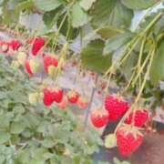 ヒメ日記 2026/02/27 10:29 投稿 あいら JAPAN CLUB BUNNY LOUNGE