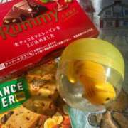 ヒメ日記 2026/02/10 15:09 投稿 工藤ともみ セレブ Rex